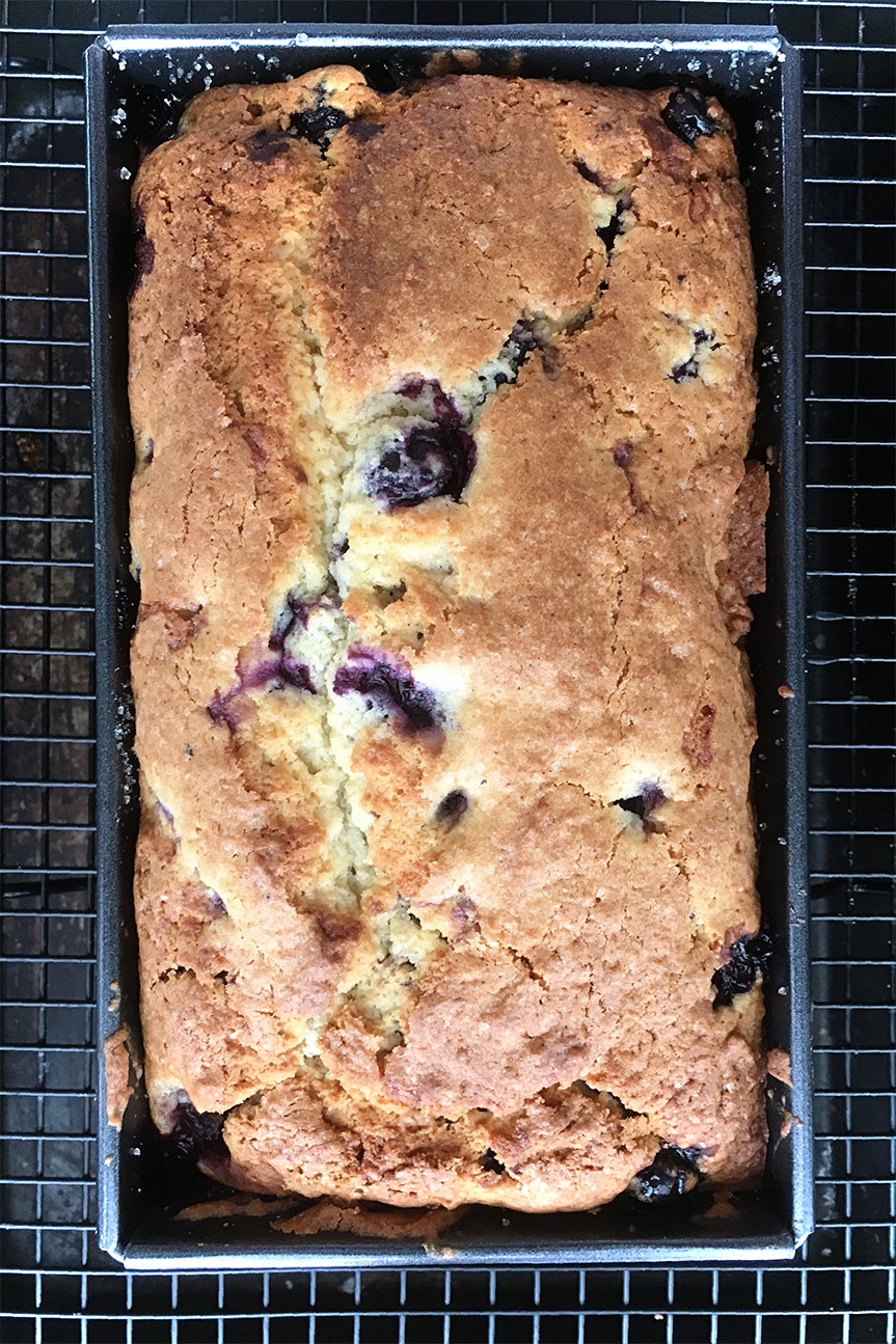 blueberry muffin loaf