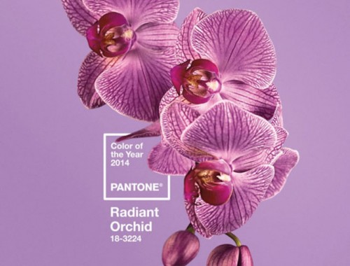 Pantone radiant orchid