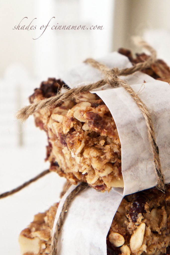 Healthy trail mix granola bars Shades of Cinnamon
