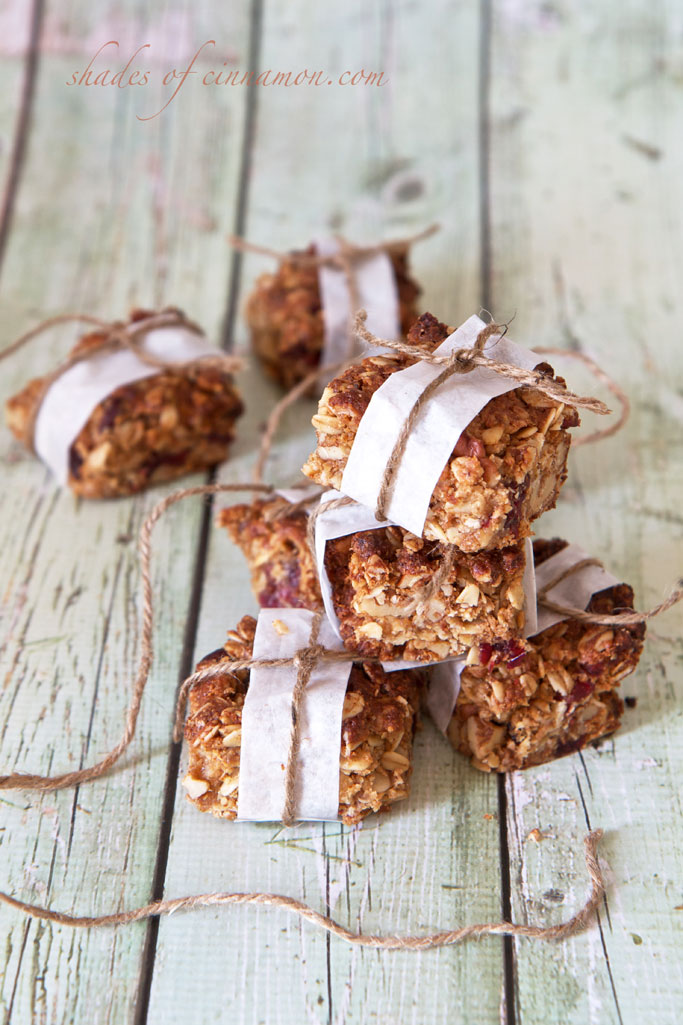 Healthy trail mix granola bars Shades of Cinnamon